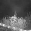 Webcam_20201113-190000