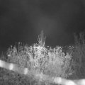 Webcam_20201113-193000