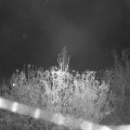 Webcam_20201113-194500