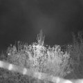 Webcam_20201113-201500