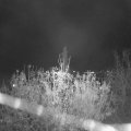 Webcam_20201113-203000