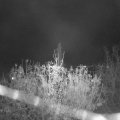 Webcam_20201113-213000