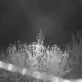 Webcam_20201114-063000