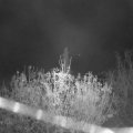 Webcam_20201114-070000