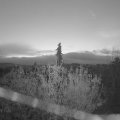 Webcam_20201114-080000