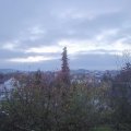 Webcam_20201114-083000