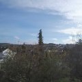 Webcam_20201114-123000