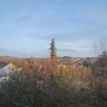 Webcam_20201114-171500