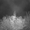 Webcam_20201115-061500