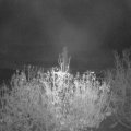 Webcam_20201115-071500