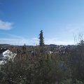 Webcam_20201115-124500