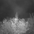 Webcam_20201115-203000