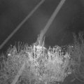 Webcam_20201115-204500
