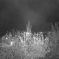 Webcam_20201116-220000