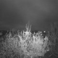 Webcam_20201117-080000