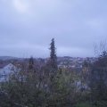 Webcam_20201117-083000