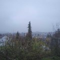 Webcam_20201117-100000