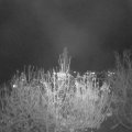 Webcam_20201117-190000