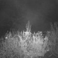 Webcam_20201117-220000