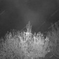 Webcam_20201118-050000