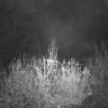 Webcam_20201118-053000
