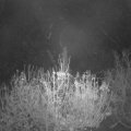 Webcam_20201118-054500