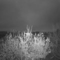 Webcam_20201118-080000