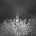 Webcam_20201119-203000