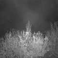 Webcam_20201120-070000