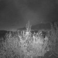 Webcam_20201120-073000