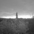 Webcam_20201120-081500