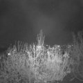 Webcam_20201120-190000