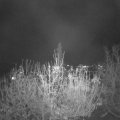 Webcam_20201120-200000