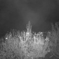 Webcam_20201120-203000