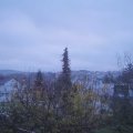 Webcam_20201121-083000