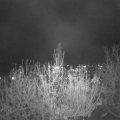 Webcam_20201121-191500