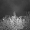 Webcam_20201122-191500