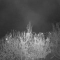 Webcam_20201122-201500