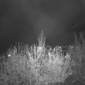 Webcam_20201122-204500