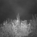 Webcam_20201122-210000