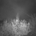 Webcam_20201123-060000