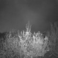 Webcam_20201123-070000
