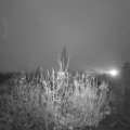 Webcam_20201123-081500