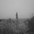 Webcam_20201123-083000