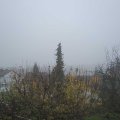 Webcam_20201123-110000