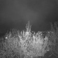 Webcam_20201123-191500