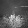 Webcam_20201123-201500