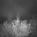Webcam_20201123-204500