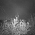 Webcam_20201124-071500