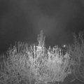 Webcam_20201125-054500